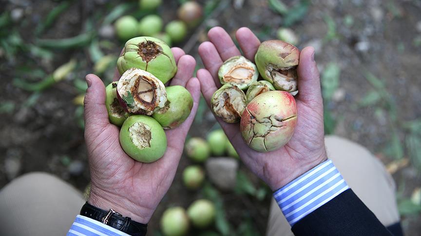 'Deveci' ve 'Santa Maria'yı dolu vurdu 