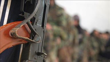 Senior Iranian Revolutionary Guard among Syria deaths