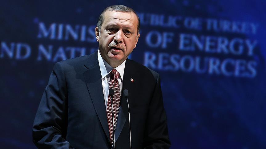 Turkey fighting for global energy security: Erdogan