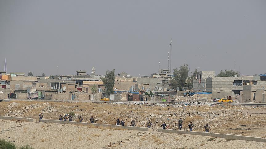  Силы пешмерге выселяют арабское население Киркука