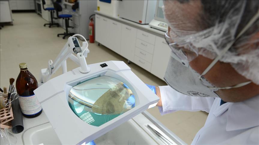 فيتامين "د".. علاج فعال وآمن لسرطان الثدي(دراسة)