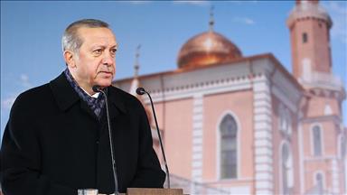 Ксенофобия в ряде стран Европы распространяется, словно чума - Эрдоган