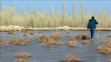 Li Rojhilatê germahiya hewayê wê 2-3 pile zêde bibe