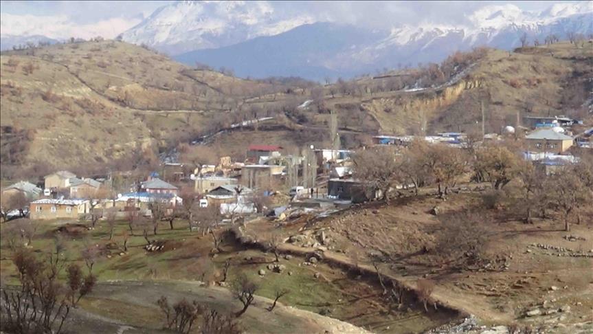 Qetlîama Hamzaliyê nehat jibîrkirin