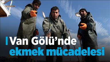Van Gölü'nde ekmek mücadelesi