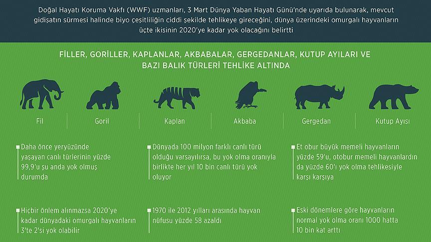 'Önlem alınmazsa omurgalı hayvanların 3'te 2'si yok olabilir'