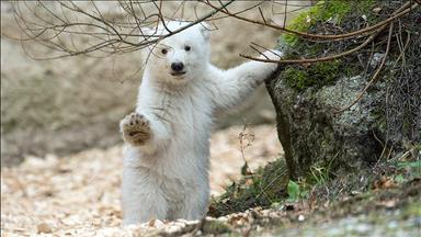 Haftanın fotoğrafları