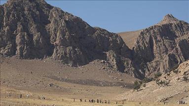 Kurd official urges PKK to withdraw from Iraq's Sinjar