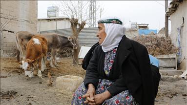 Depremden hayvanların çıkardığı ses sayesinde kurtuldu