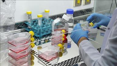 البنكرياس الاصطناعي آمن وفعال للأطفال المصابون بالسكري (دراسة) 