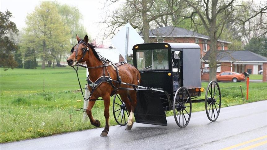 "الأميش".. رحلة عبر الزمن وحياة بدائية في بلاد التكنولوجيا