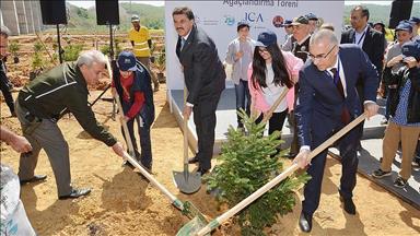 غرس نحو 19 مليون شجرة في إسطنبول خلال 14 عاماً