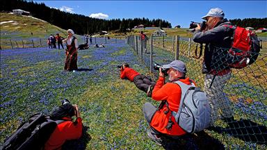 Karadeniz'in baharı fotoğrafçıları büyülüyor