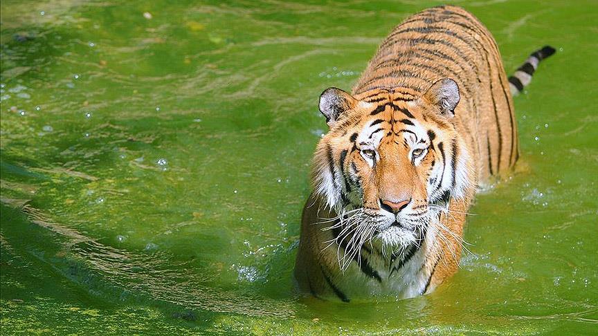 Haftanın fotoğrafları