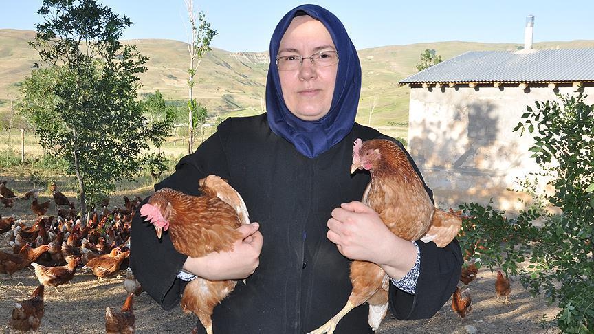 Buka moldovî rojê 950 hekî difroşe