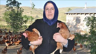 Buka moldovî rojê 950 hekî difroşe