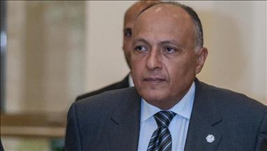 شكري يبحث مع نظيريه الروسي والكويتي نتائج اجتماع الدول المقاطعة لقطر 