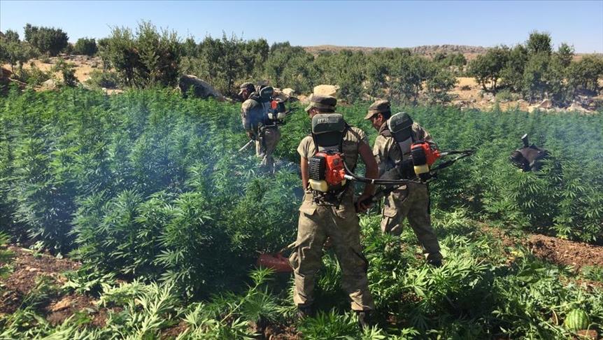 دیاربه‌كر.. ئۆپه‌راسیۆن دژ بە مادده‌ی هۆشبه‌ر