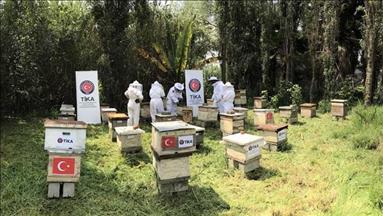 "تيكا" التركية تدعم أُسر تعمل في تربية النحل في المكسيك