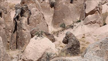 صخور تجسد المخلوقات في وداي "دفرنت" وسط تركيا 