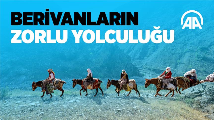 Berivanların 3 bin rakımlı yaylaya zorlu yolculuğu