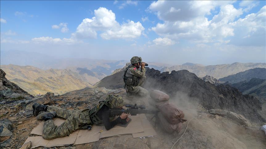 Turkish forces kill 5 PKK terrorists in SE, NE