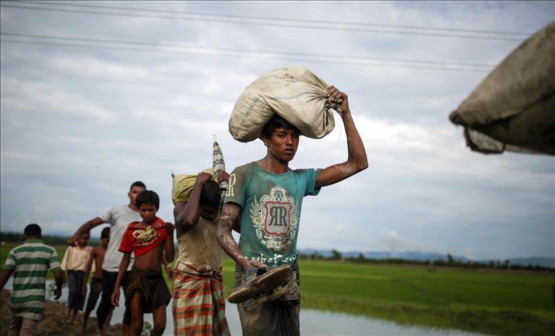 УНХЦР: Во Бангладеш пребегаа околу 290.000 Рохинџа муслимани