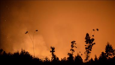 Španija: Zbog požara evakuisano oko 400 osoba
