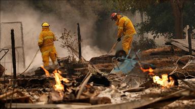 В Калифорнии 10 человек стали жертвами лесных пожаров