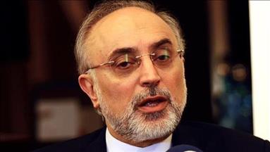 صالحي: لا نريد فسخ الاتفاق النووي مع الغرب