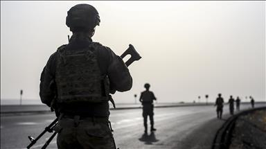 Soldado de origen turco muere por disparo de un compañero en Viena 