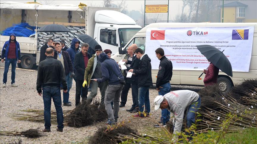 ترکیه میان خانواده های مستمند بوسنی و هرزگوین نهال گردو توزیع کرد