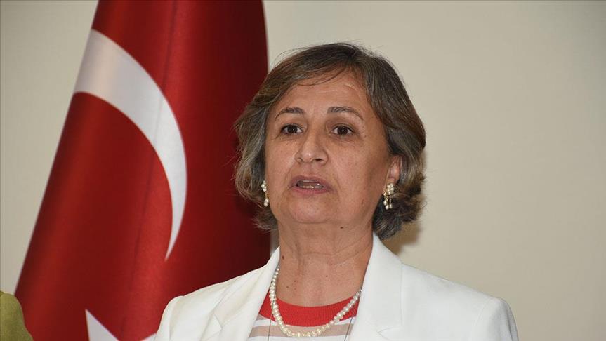 Turkey-Czech group head slams Czech move on Jerusalem