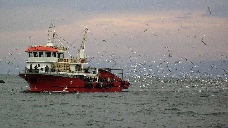 Türk tekneleri kaçan hamsinin peşine düştü