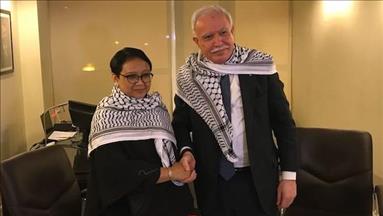 Indonesia bertemu Palestina jelang KTT OKI