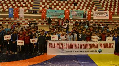 Li Agiriyê pêşbirkên gulaşê dest pê kirin