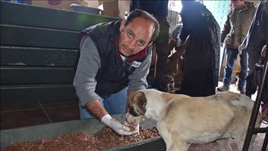 'Soğuk patiler' için seferber oldular