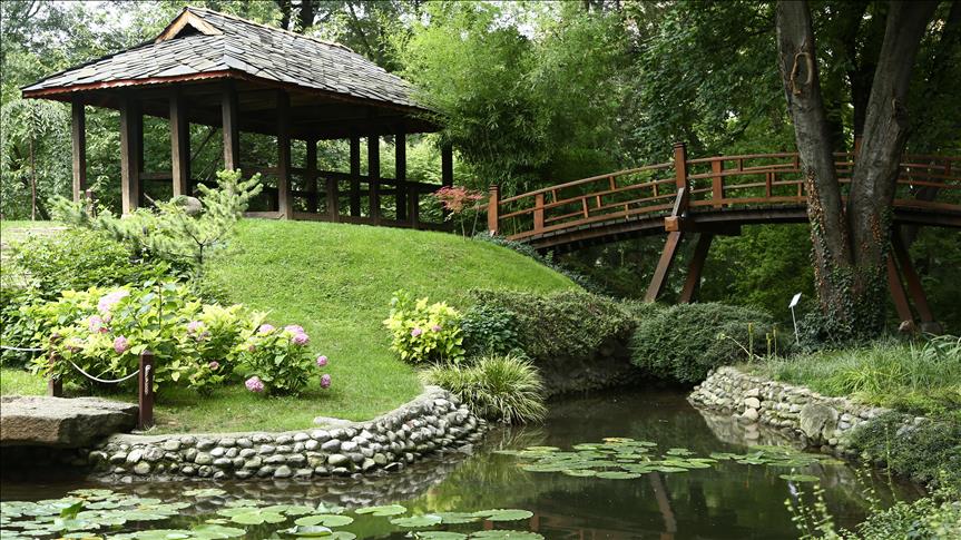 Stara botanička bašta "Jevremovac": Oaza prirode u srcu Beograda