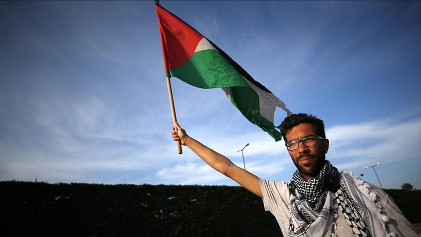 Swedish activist granted Palestinian citizenship