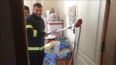 Marê di malê da girtin berî çolê dan