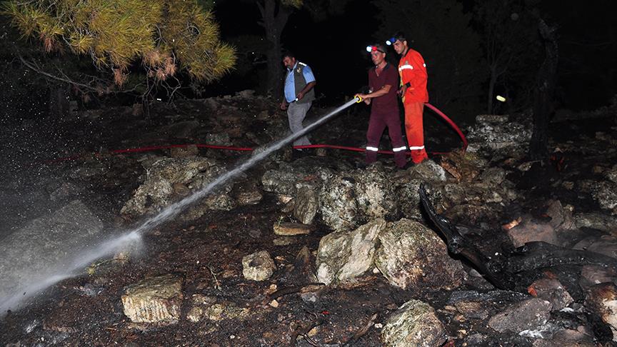 Define ararken ormanı yaktılar