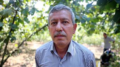 'Fındığı Türkiye'nin sahiplenmesi lazım'