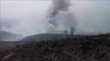 Incendio en Valencia, España, deja unas 3.000 personas desalojadas