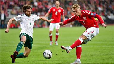 Danimarka, Galler'i 2-0 yendi 