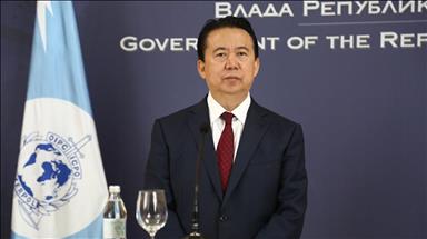 Çin'de yolsuzlukla mücadelede 'kaplan avı'