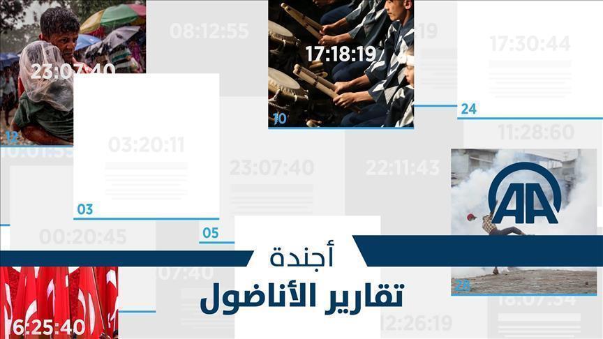 الأجندة اليومية للنشرة العربية - الأحد 11 نوفمبر 2018‎‎‎‎