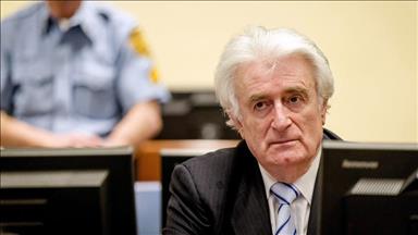 Savaş suçlusu Karadzic temyiz kararına kadar serbest kalmak istiyor