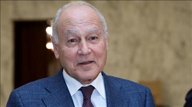 Arab League calls for solving Libyan militias issue