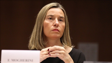 AB Venezuela'da barışçıl çözümde ısrarlı