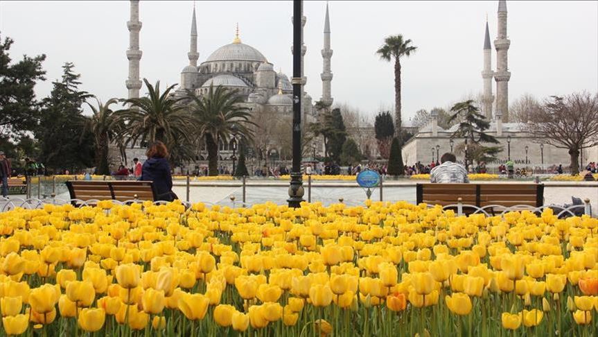 إسطنبول تستنشق الربيع بأزهار "التوليب" (تقرير)